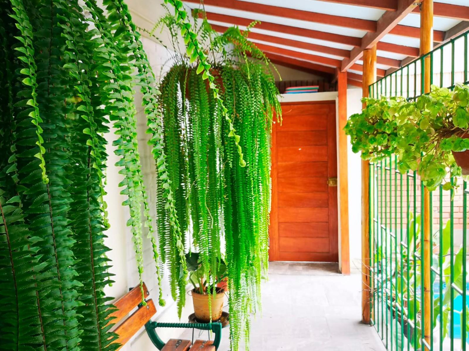 リマCasa Amarelloアパートメント エクステリア 写真